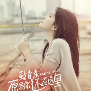 海报引流小鲤导航
