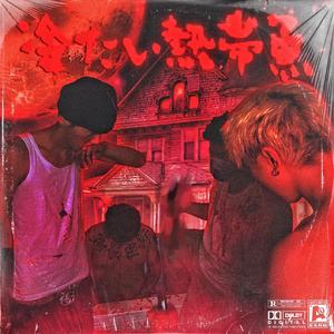 海报引流小鲤导航
