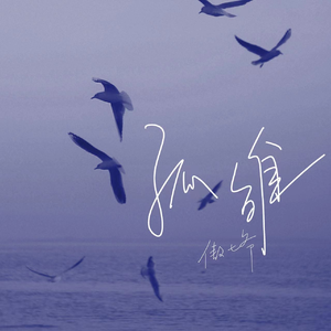 海报引流小鲤导航
