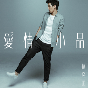 海报引流小鲤导航
