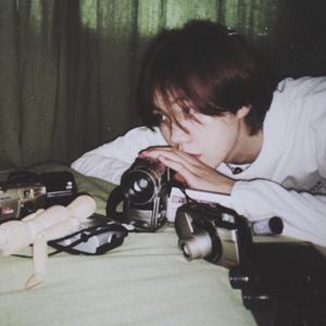 海报引流小鲤导航
