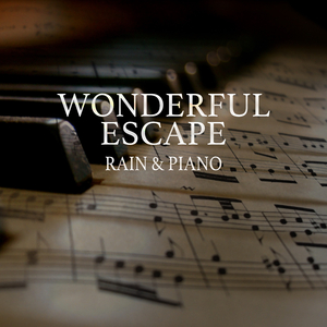 海报引流小鲤导航
