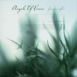 海报引流小鲤导航
