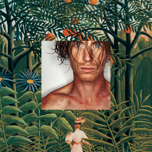 海报引流小鲤导航
